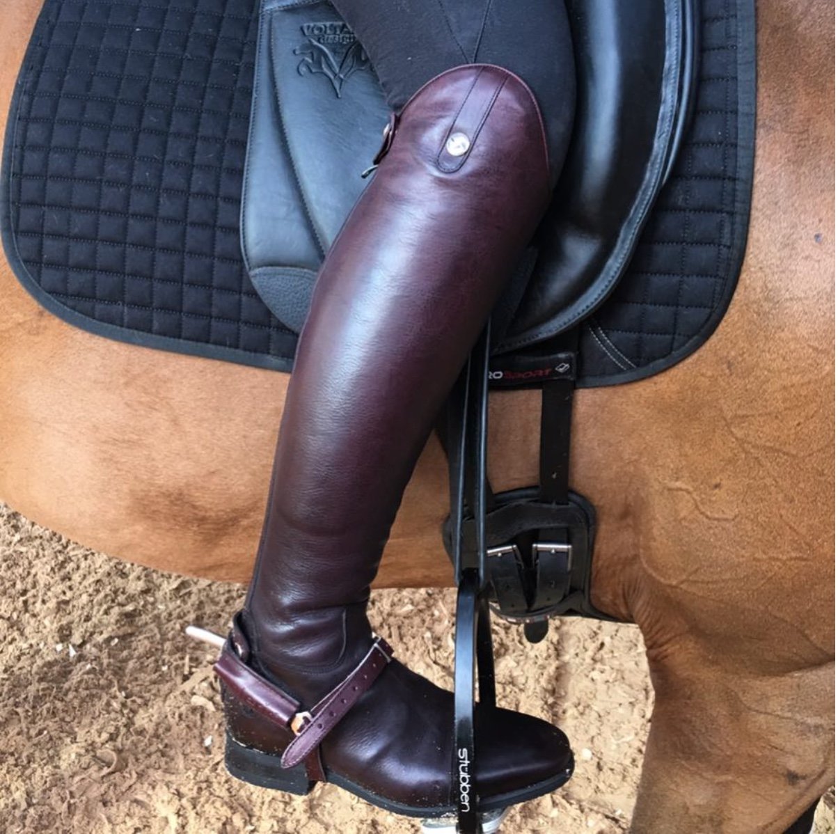 DIOGO /
Black cherry / Brogue toe cap