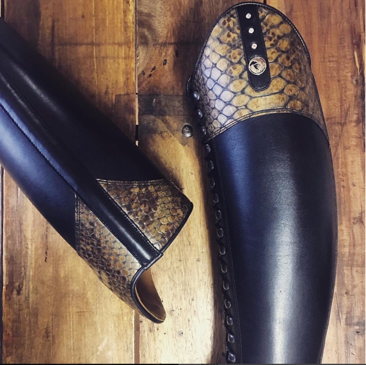 BIA /
Black / FLOR top in faux croc gloss