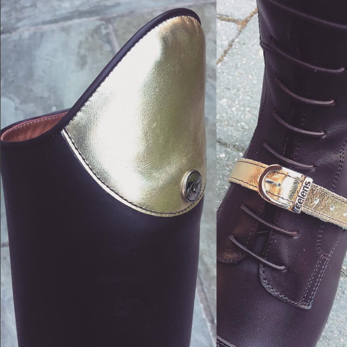 ANA /
Chocolate brown / Antique gold accents