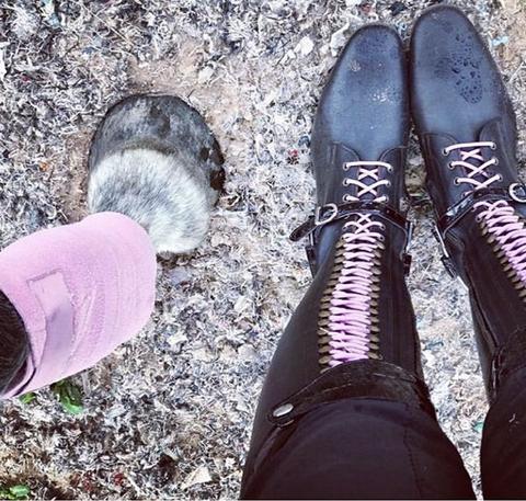 BIA / Chocolate brown