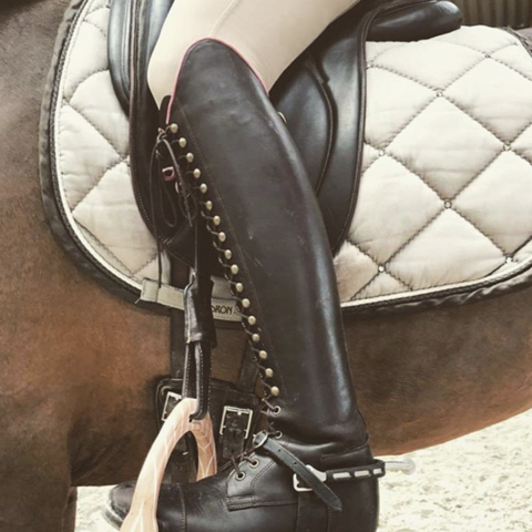 BIA / Chocolate brown with pink piping