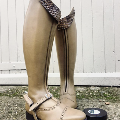 POLO / Antique beige